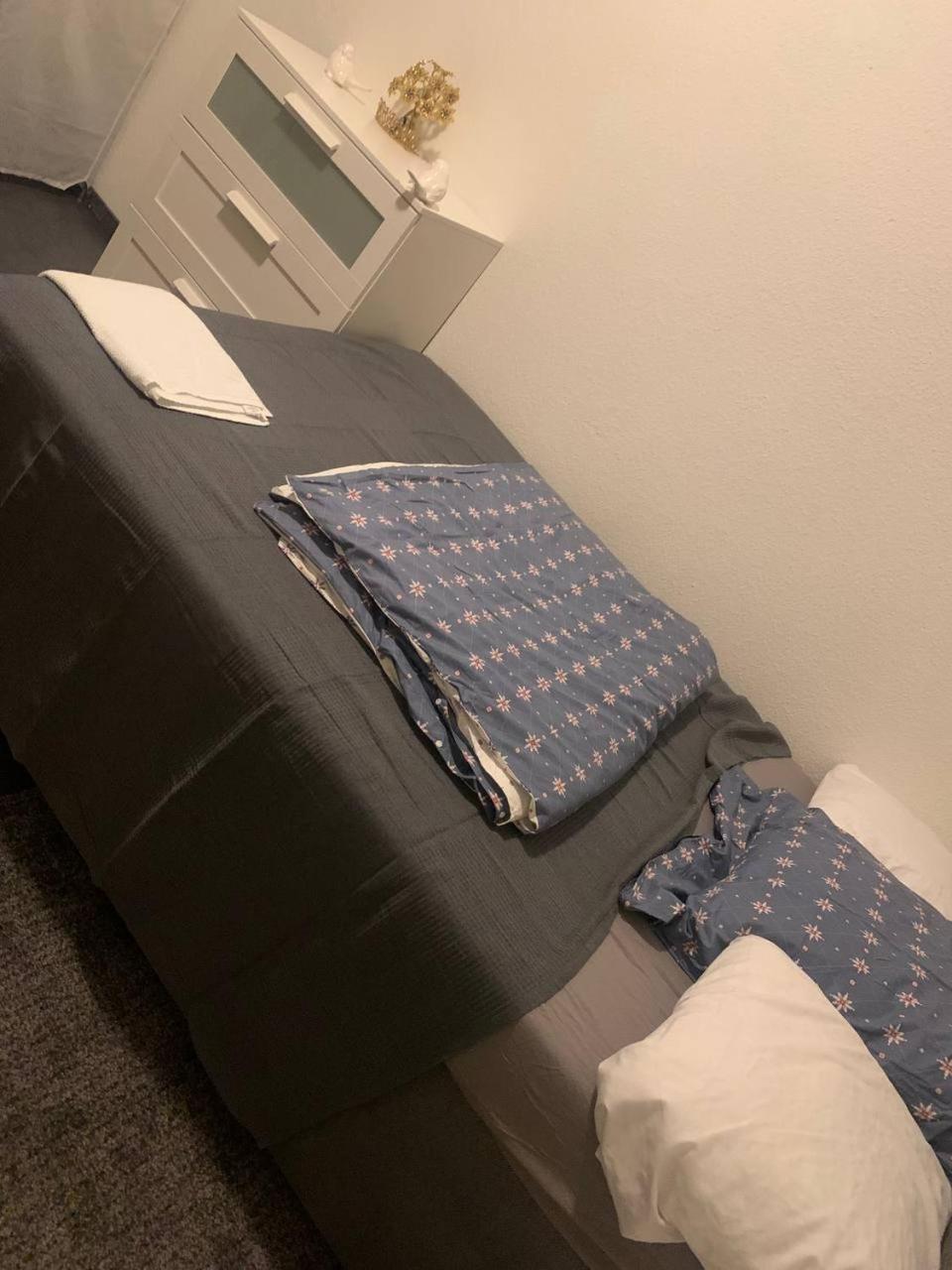 2 Room Apartament Messe 埃森 外观 照片